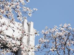 -中国（江苏）自由贸易试验区苏州片区一站式服务中心