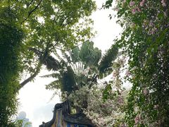 -深圳国际园林花卉博览园