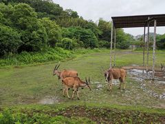 -宁波野生动物园