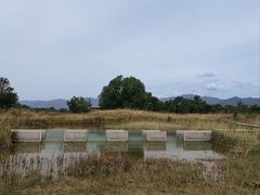 -野鸭湖国家湿地公园