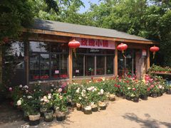 -鹅湖玫瑰文化园
