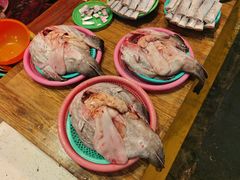 -西归浦每天偶来市场