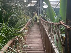 -呀路古热带植物园