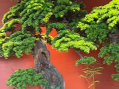 -阿伟海鲜楼·福建菜(延寿店)