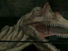 -世界恐龙谷景区