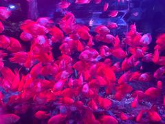 -南昌融创海世界