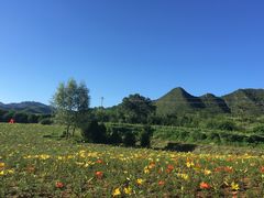 景点-百里山水画廊