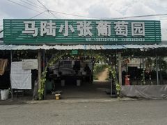 -马陆小张葡萄园农家乐