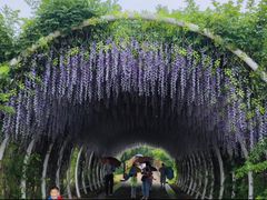 -同里国家湿地公园