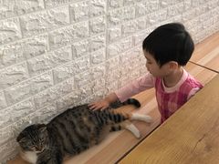 -平行世界·猫咖(首经贸店)