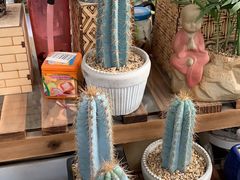 -秦美花卉(天朗·莱茵小城2期店)