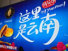-丽江三义国际机场