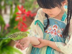 -太阳岛度假酒店