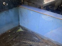 -湘芙蓉·湖南菜(椒江店)