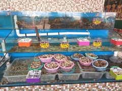 -港畔赶海蒸汽海鲜烧烤自助(仙螺岛店)