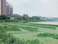 -保利蓝海郡