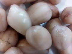 -渝君重庆火锅(嘉宾路店)