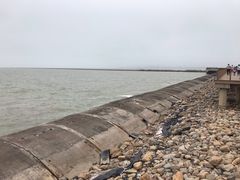 -东疆建设开发纪念公园
