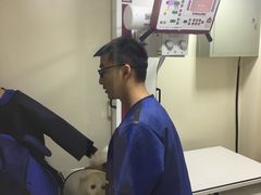 -芭比堂宠物医院·全科爱猫医院·仁德分院