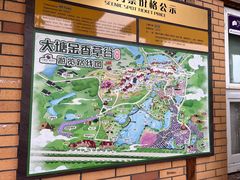 -大塘金香草谷