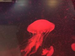 -常州海昌海洋探索馆