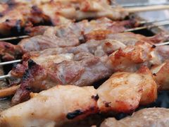 羊肉串-冯老二羊肉串