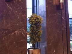 大堂-宁波威斯汀酒店