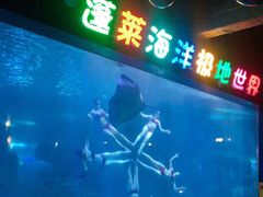 -蓬莱欧乐堡海洋极地世界
