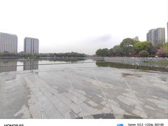 -南翔镇银翔湖公园