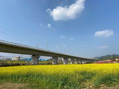 -光明小镇欢乐田园