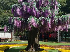 -德克士(北大街店)