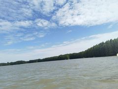 -上海海湾国家森林公园