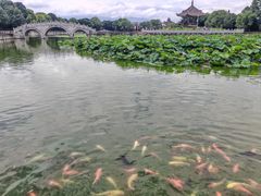 -建水文庙