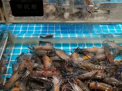 -加餐海鲜自助(集美银泰百货店)