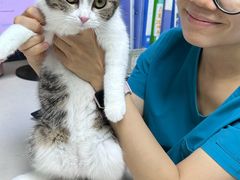 -宠颐生猫科·内科皮肤科(西平世纪城店)