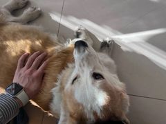 -平行世界·猫咖(首经贸店)