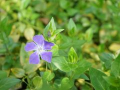 -苏州河梦清园环保主题公园