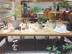 -柴务处·柴犬主题狗咖