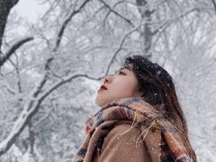 -紫金山山顶公园