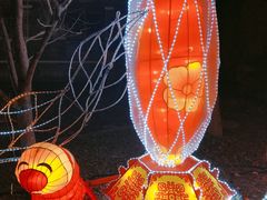-台儿庄古城