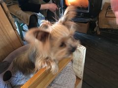 -春风十里咖啡馆