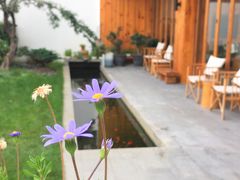 -大理无舍度假酒店