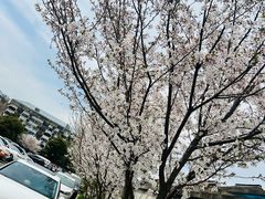 -川沙古镇-停车场