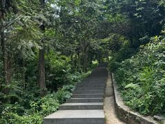 -冶父山国家森林公园