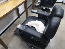 -蚂蚁造型俱乐部