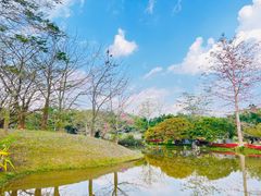 -中国科学院西双版纳热带植物园