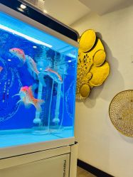 -青青一生美皮肤管理