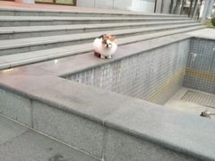 -广州科技贸易职业学院