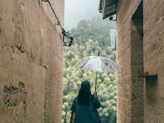 -杨家堂村