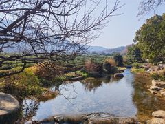 -中国茶叶博物馆(双峰馆区)